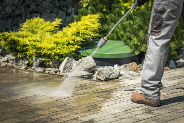 Best Pre-Holiday Cleaning  in Painted Post, NY