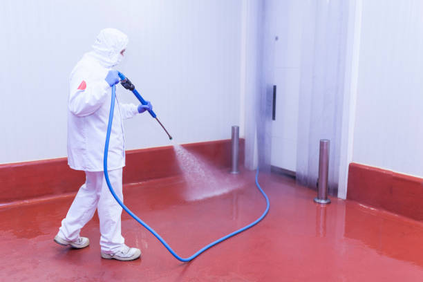 Best Playground Equipment Cleaning  in Painted Post, NY